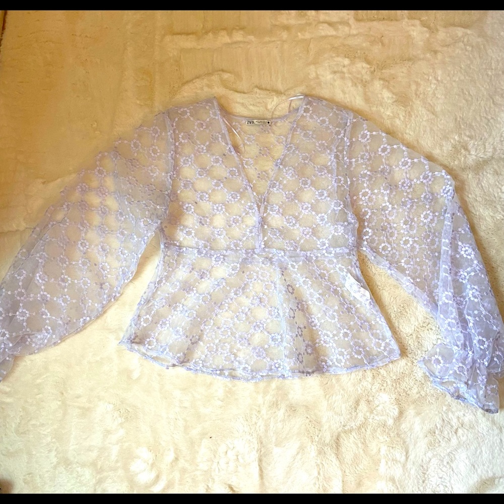 Never Worn Zara See-Thru Long Sleeve Top - Small
